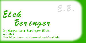 elek beringer business card